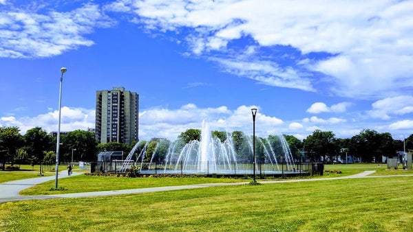 The Commons